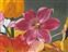 рис.5 картина тюльпаны - фрагмент  Кликните для перехода к этому слайду